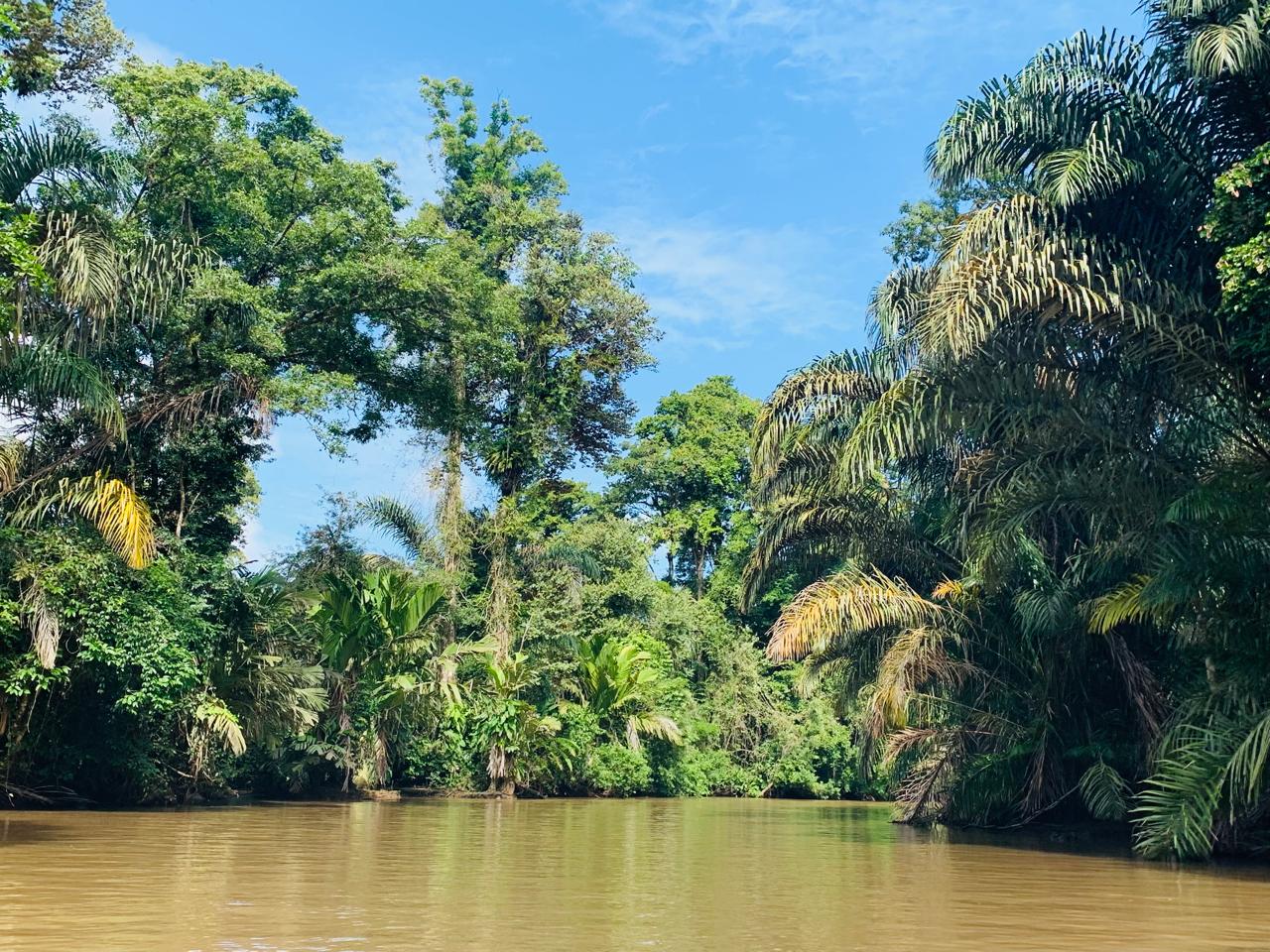 Tortuguero WhatsApp Image 2025-12-06 at 11.40.48 AM (1)